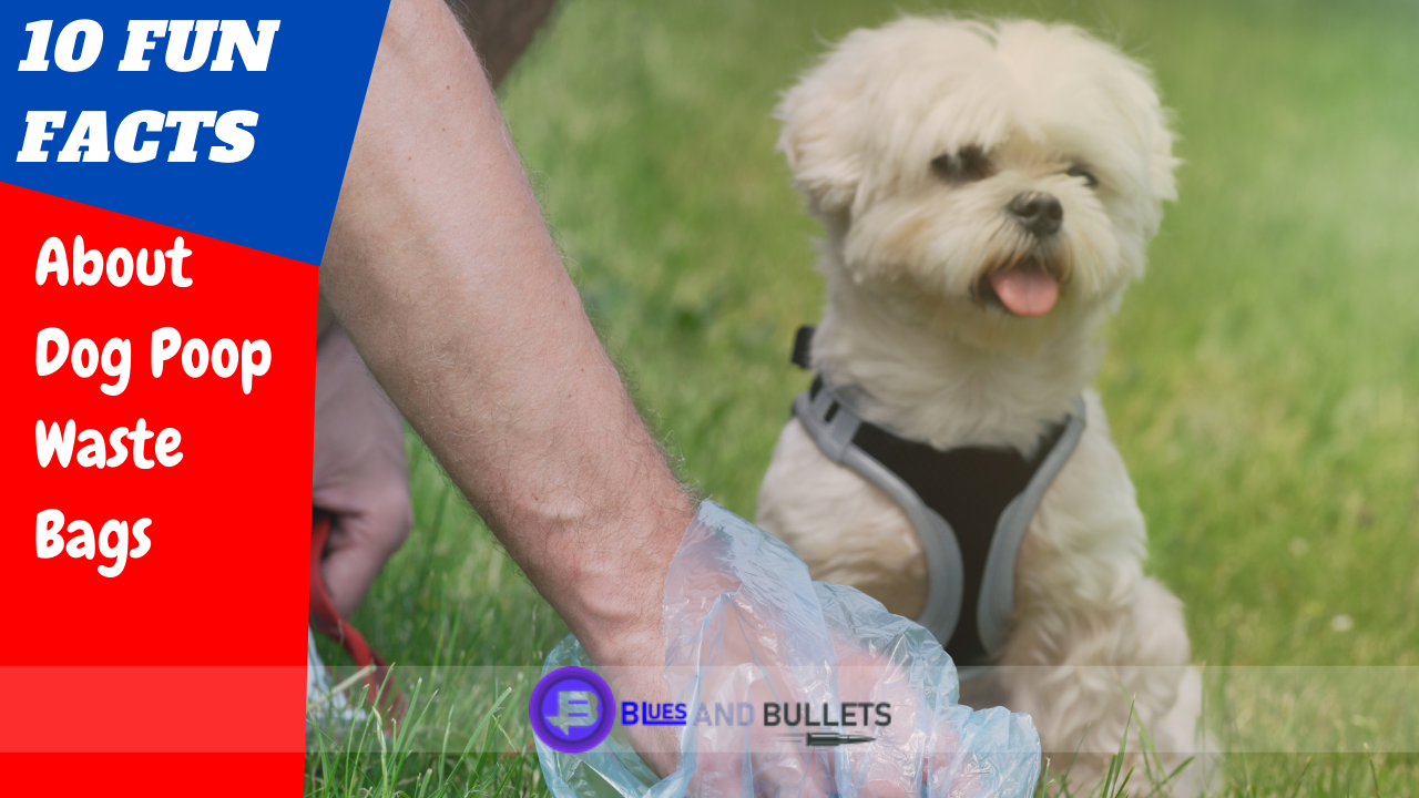 10-fun-facts-about-dog-poop-waste-bags-blues-and-bullets